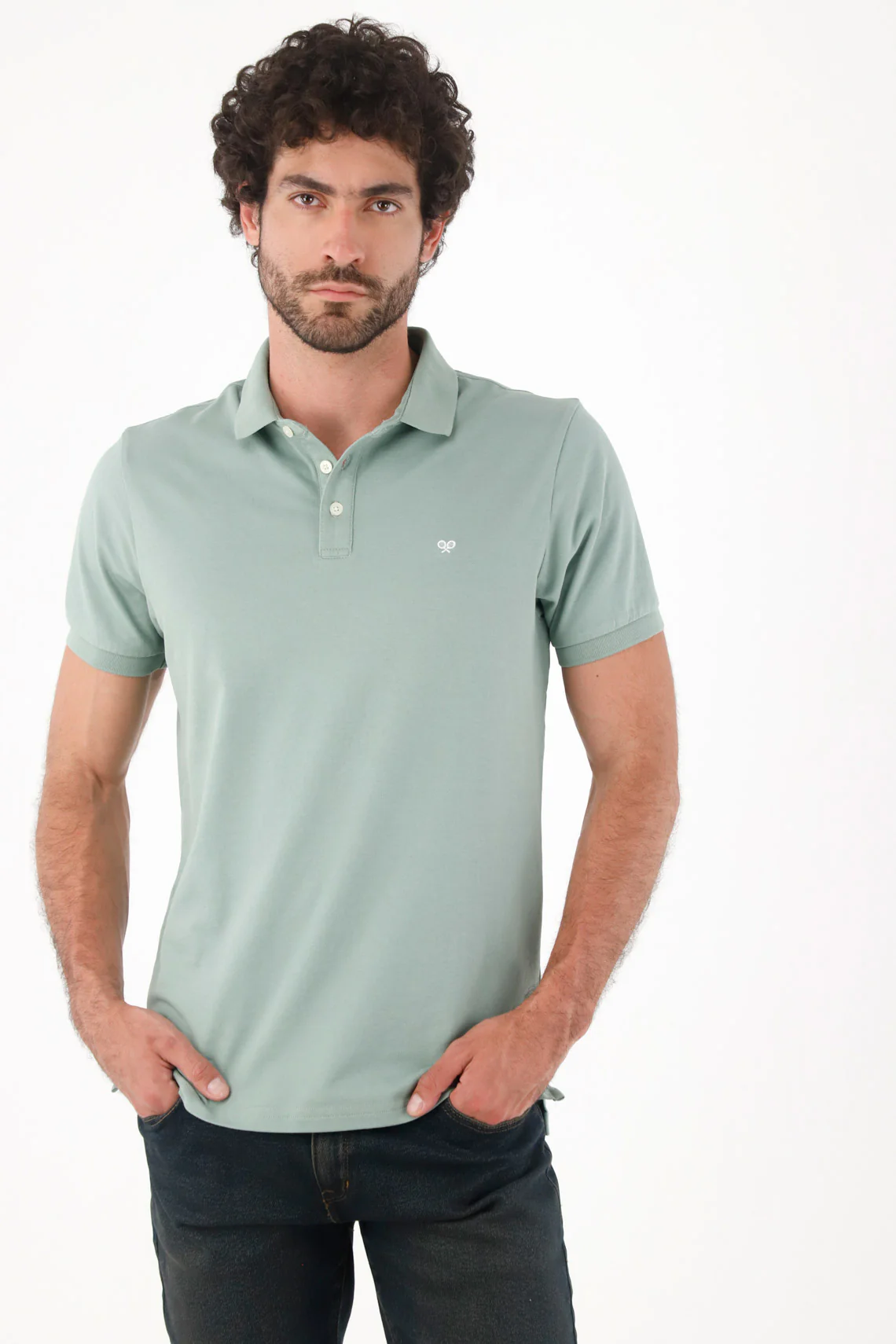 Men's Polo in Sage Green Cotton Regular Fit with Embroidered Logo